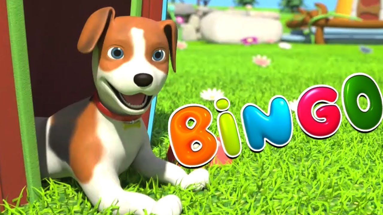 bingo hunden | låtar för barn | tecknad | Bingo The Dog | Little Treehouse Svenska Barnsånger