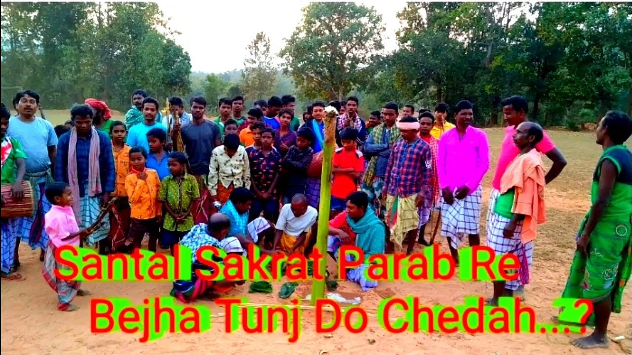 Santal Sakrat Parab Re Bejha Tunj Do Chedah....?