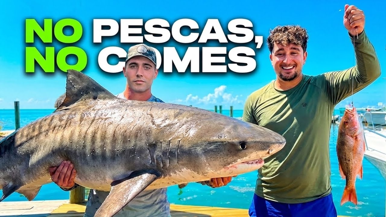 PESCAMOS un TIBUR&Oacute;N (SURREALISTA) 🥵 NO PESCAS, NO COMES en MIAMI