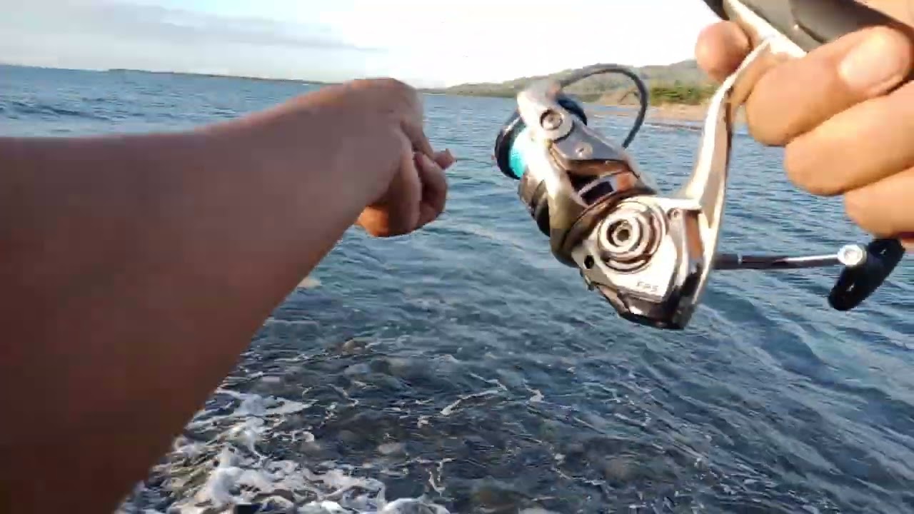 fishing u diy sabiki rattler....harvest mode part-3....#fish #viralvideo.@eduardoaldiano8766