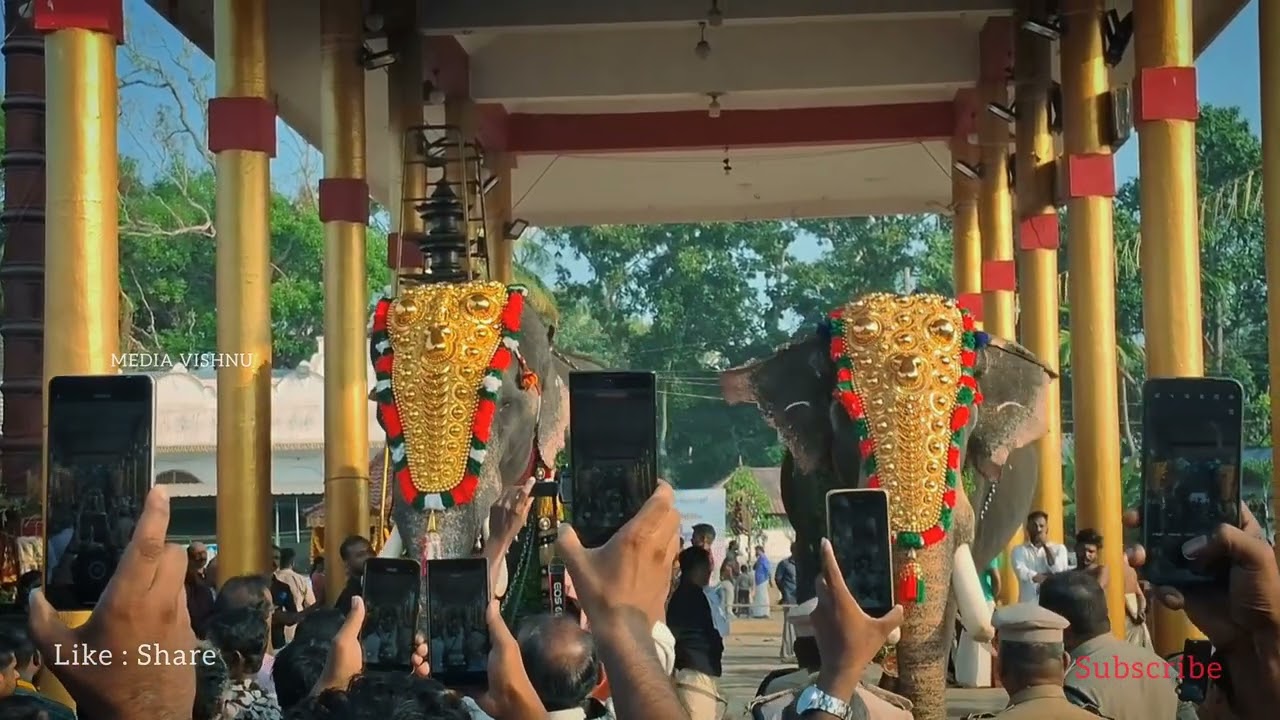 ചെറായി തലപ്പൊക്ക മത്സരം 2026