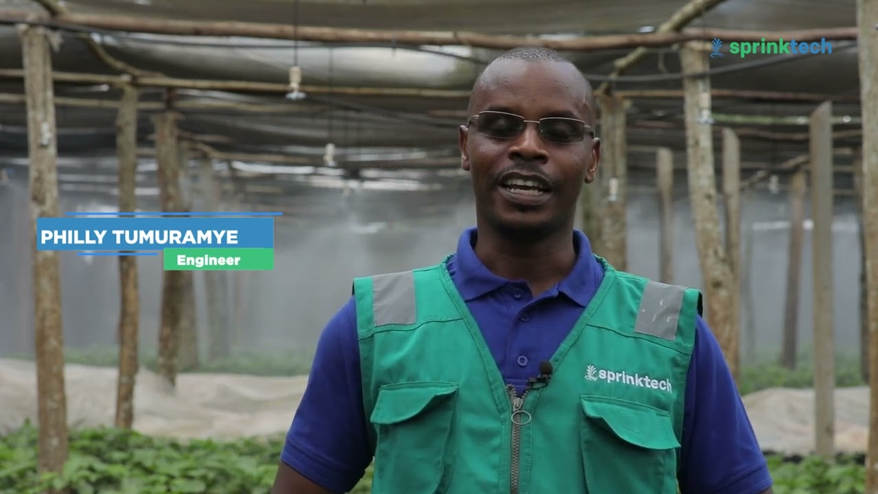 Fogger Irrigation System at Kaweri Coffee Plantation