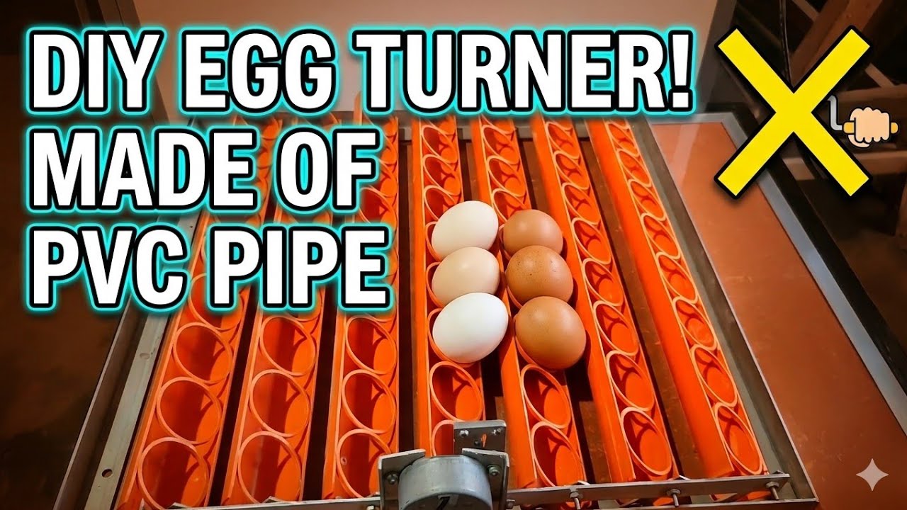 MY DIY EGG TURNER TRAY/63CAPACITY