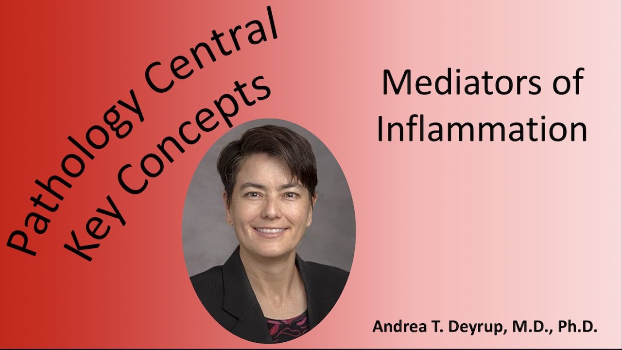 Medical School Pathology: Pathophysiology of Inflammatory Mediators