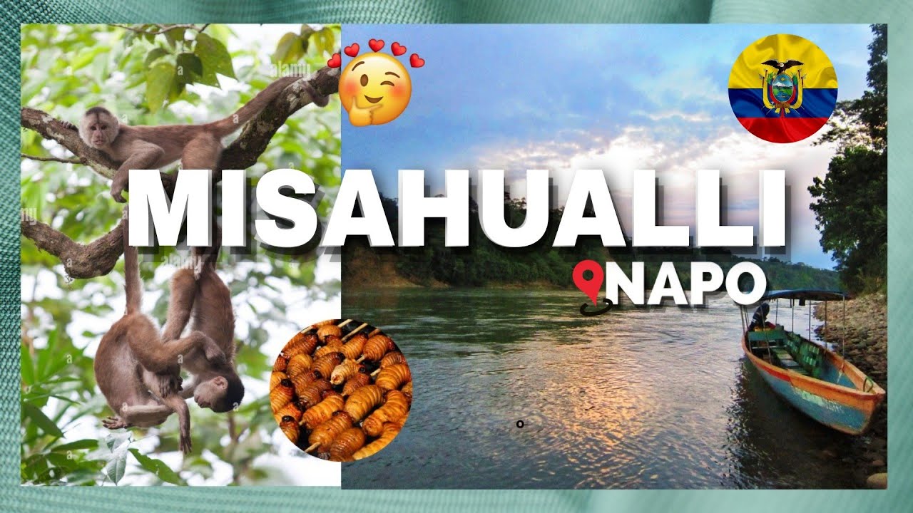 Puerto MISAHUALLI✨playa de los MONOS ‼️Monos ladrones?Precios de tours y de chonta🤫Erika Alejandra