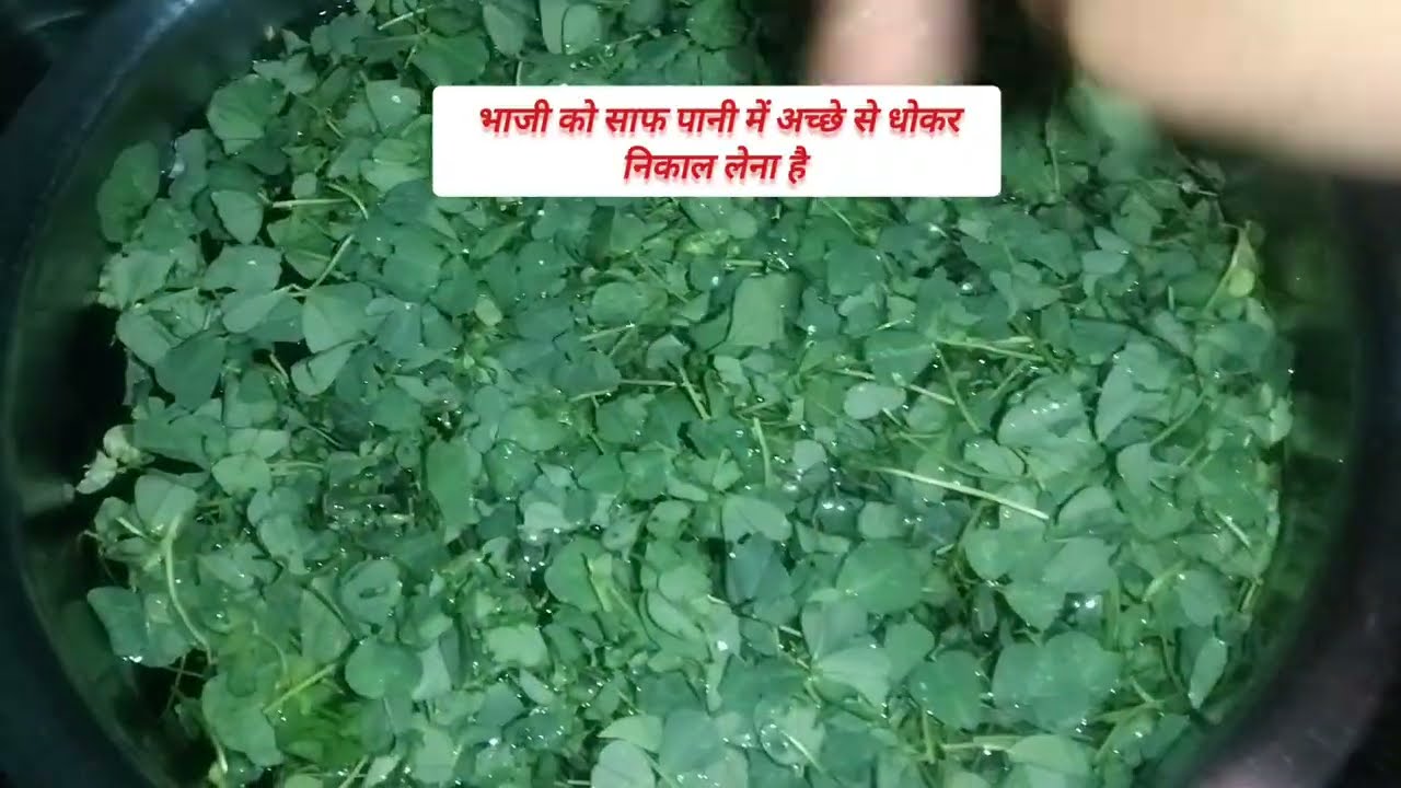 चनौरी भाजी सेहत से भरपूर||Chanauri Bhaji Recipe||Cg Chanauri Bhaji||how to make Chanauri Bhaji