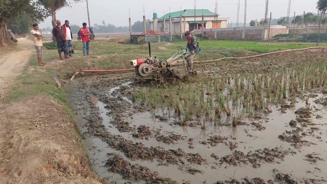 সাইপিং পাওয়ার টিলার ২৮ ফাল ২০২৬