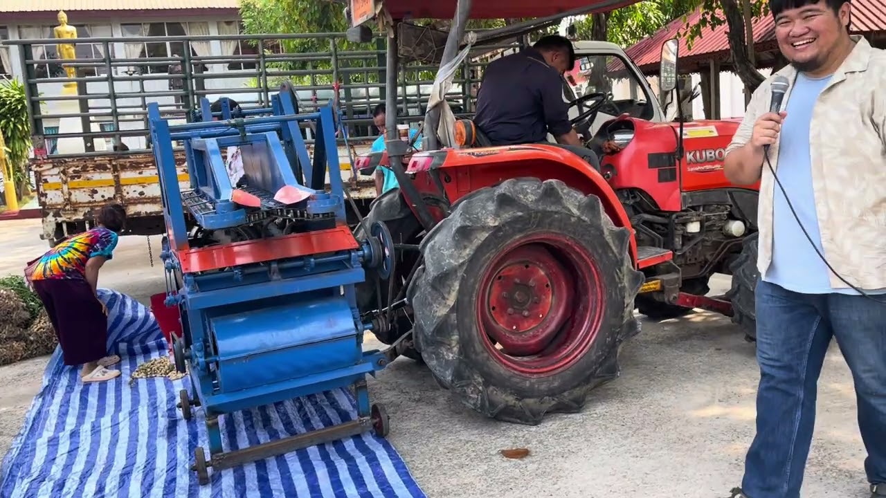🥜🌳เครื่องปลิดฝักถั่วลิสง 2 แบบ 2 ขนาด 🥜🎋