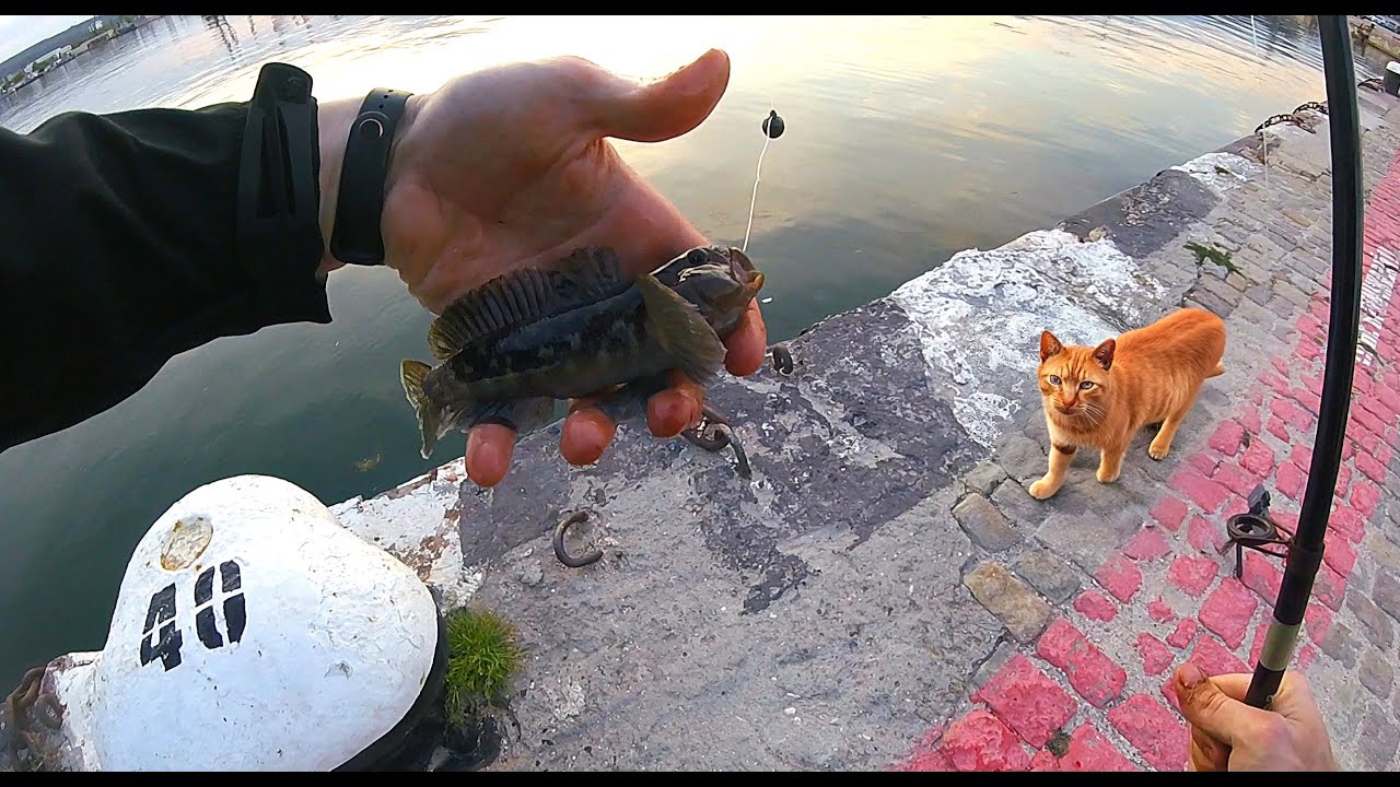 Ловля ТРОФЕЙНОГО БЫЧКА на Черном море в МАЕ.