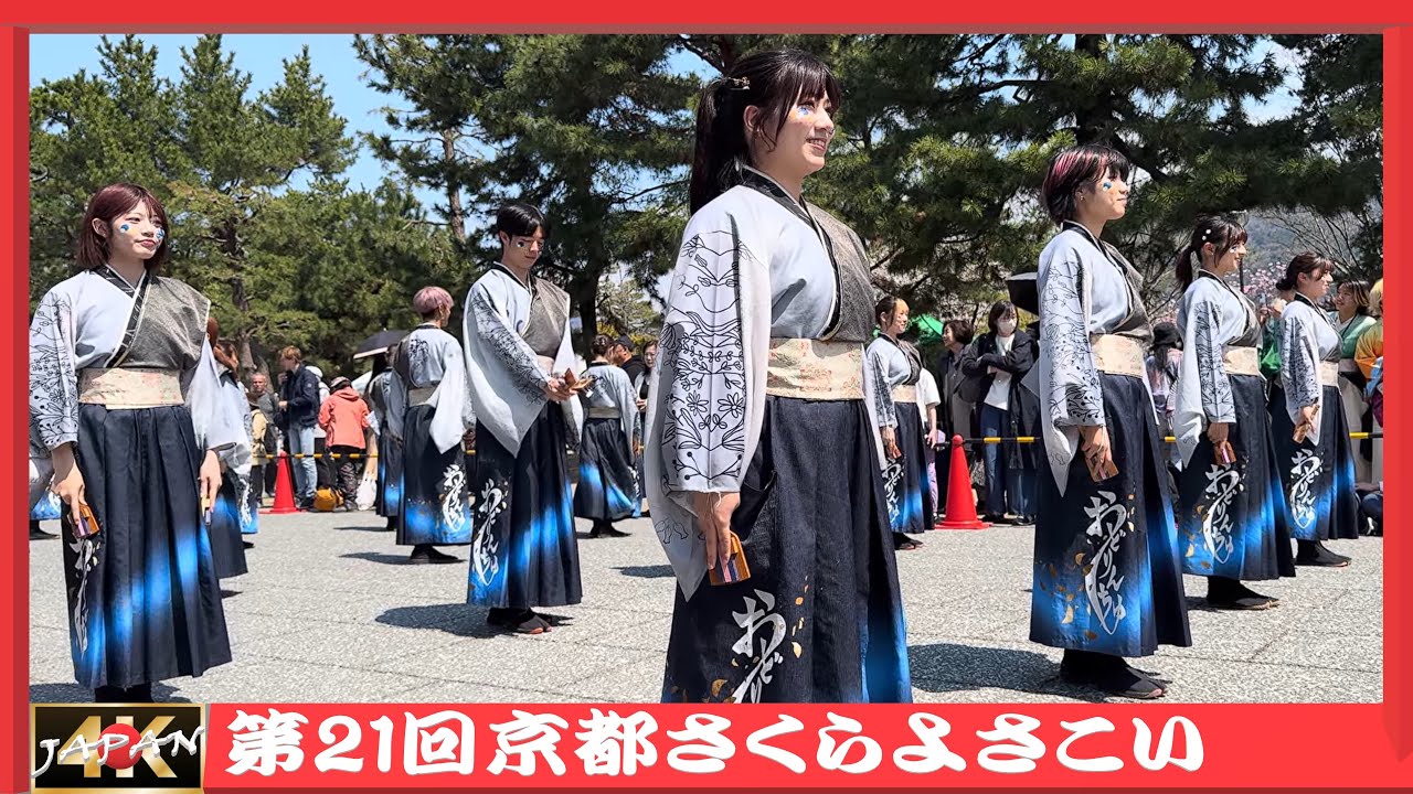 21🌸SAKUYOSA ☆ 学生よさこいチームおどりんちゅ 【第21回京都さくらよさこい】 #さくよさ #よさこい #踊り #ダンス