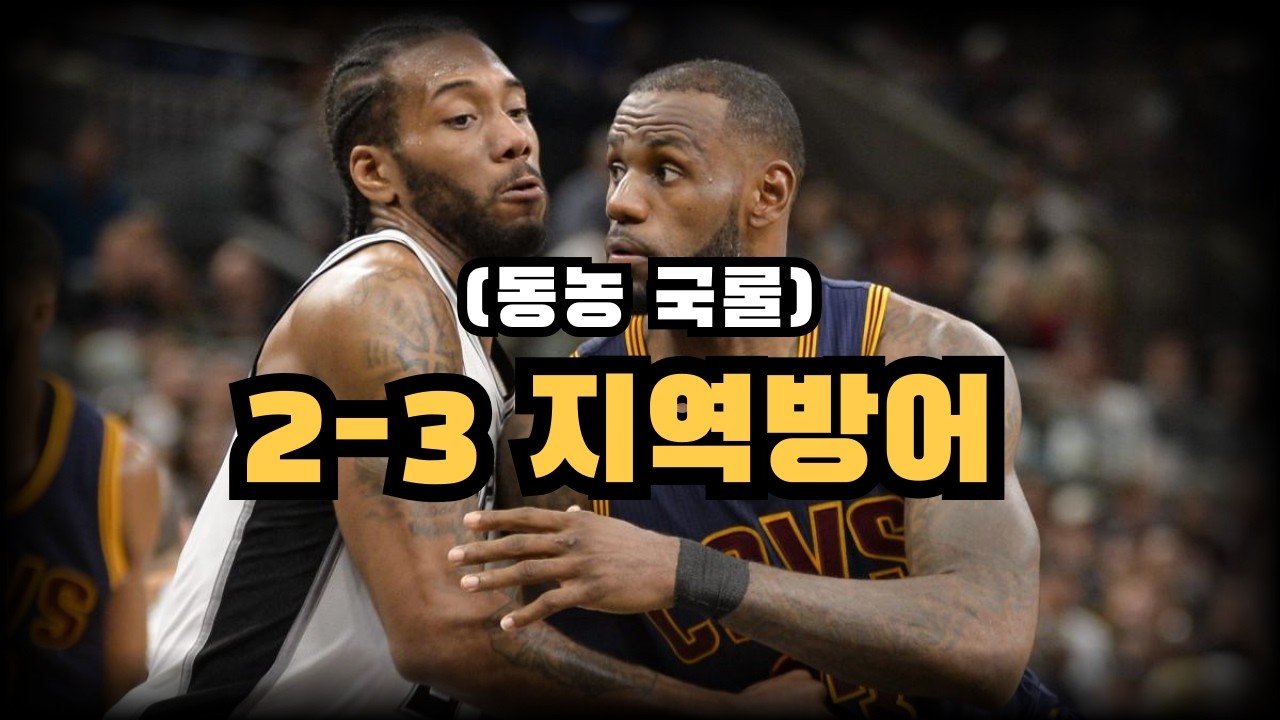 (동농 필수!!!) 농구 초보도 이해하는 2-3 지역방어 깨는 3가지 방법