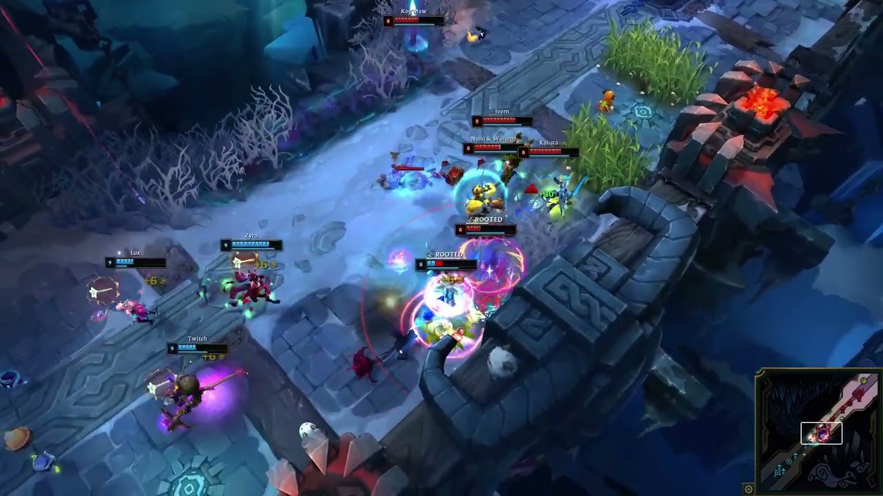 CORKI HIGHLIGHTS