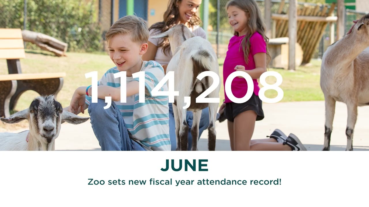 Oklahoma City Zoo Celebrates a Momentous 2025!