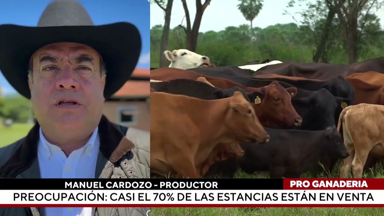 Preocupación: Casi el 70% de las estancias están en venta