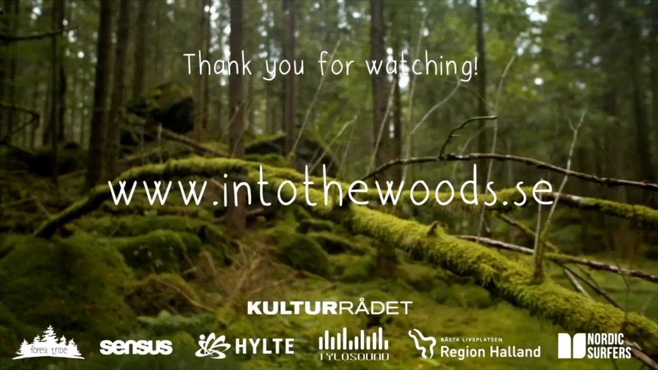 Into the Woods Livestream: Saturday