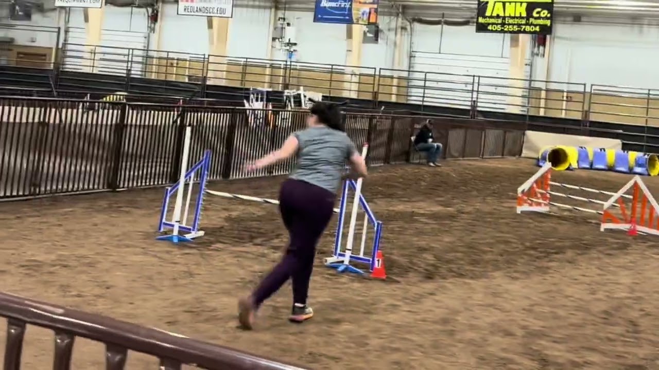 Scuffle - Red Dirt Agility Club January 2026