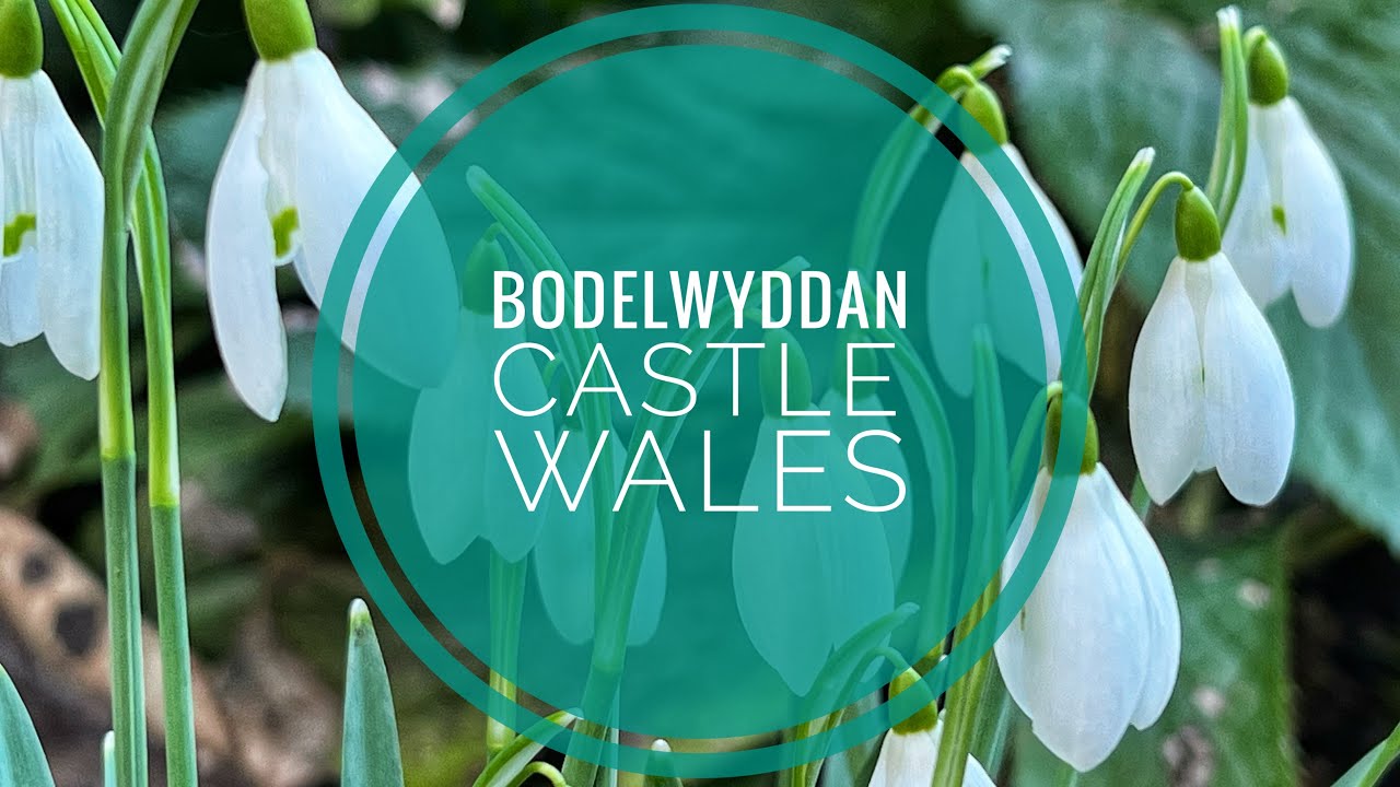 Bodelwyddan Warner Leisure Hotels. Garden Suite Lodge Room Tour and needed Mental Health Break.