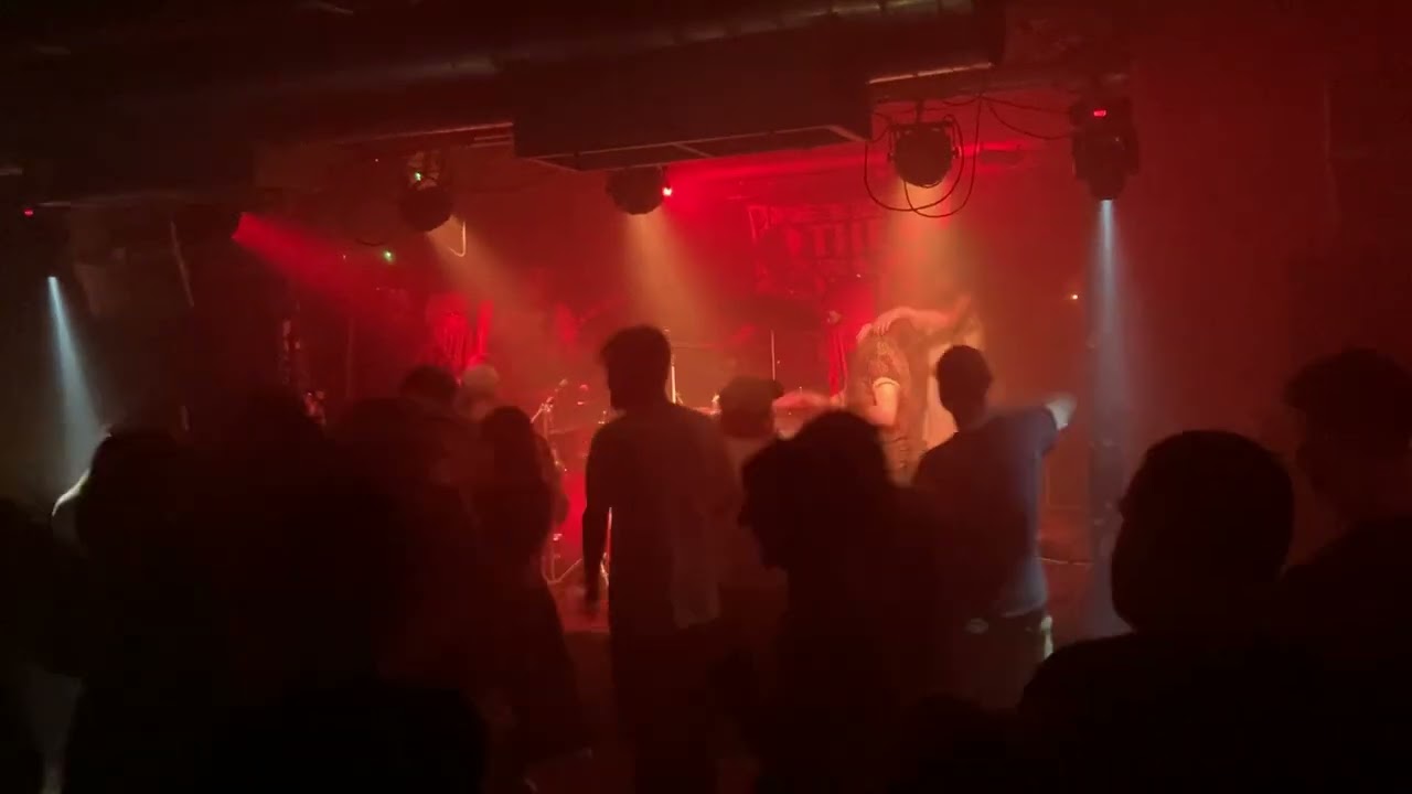 PONYLAND (live) - The Lubber Fiend - Newcastle upon Tyne (band)