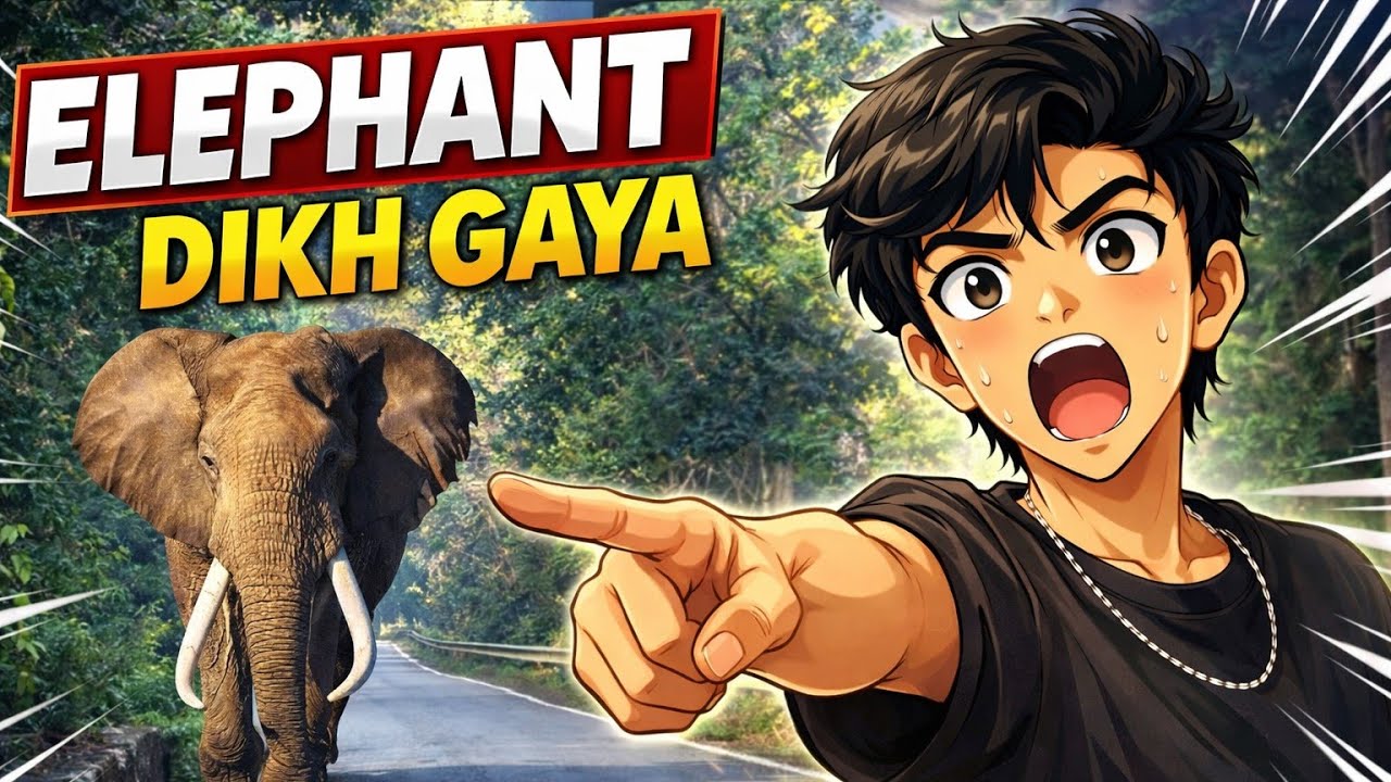 Elephant dikh Gaya forest mei 😱😱