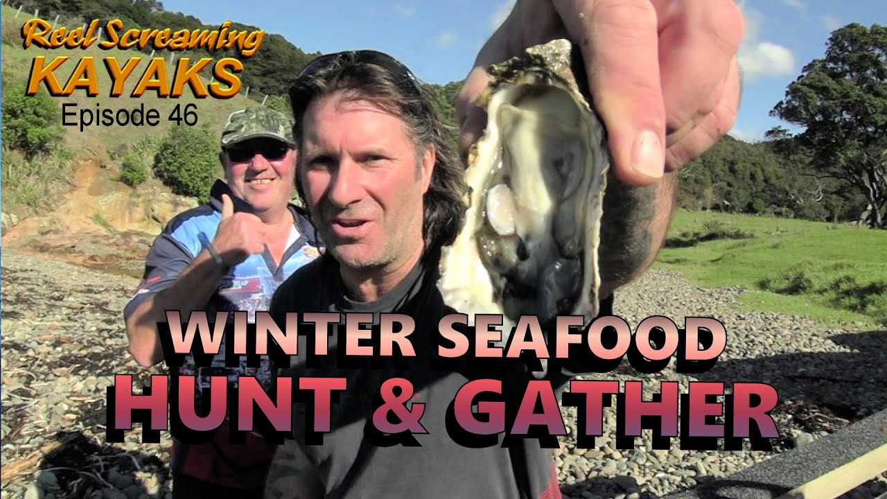 Winter hunt and gather seafood kayak fishing New Zealand - RSK Ep 46