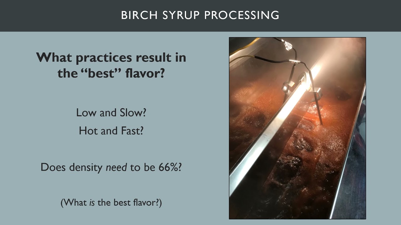 Best Practices for Birch Syrup Flavor and Quality   van den Berg 2021