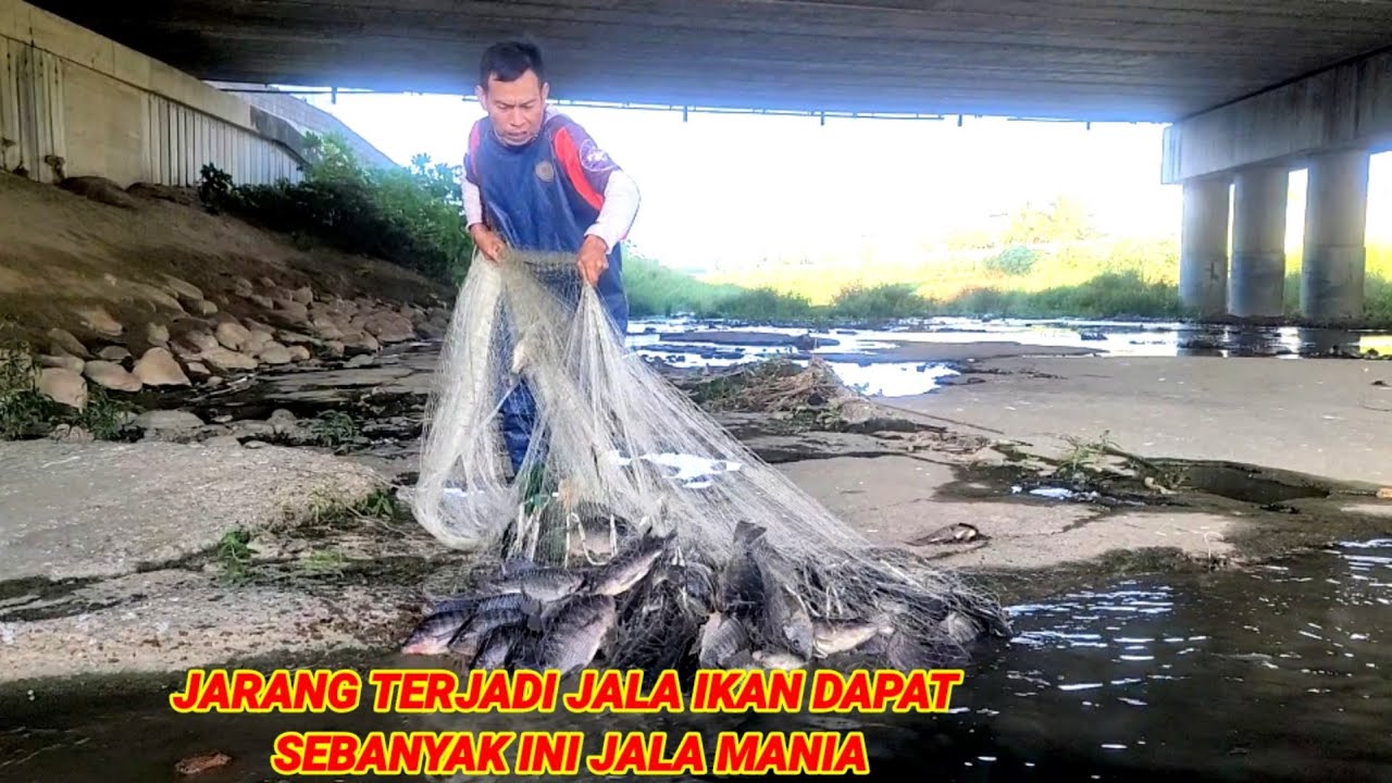 JARANG TERJADI JALA IKAN DAPAT SEBANYAK INI JALA MANIA