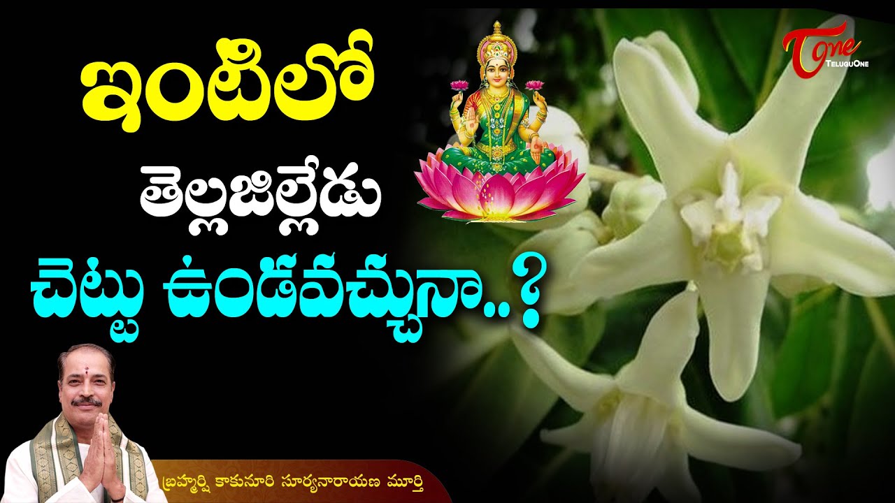 Dharma Sandehalu | ఇంటిలో తెల్ల జిల్లేడు చెట్టు ఉండవచ్చా?| Kakunuri Suryanarayana Murthy | BhaktiOne