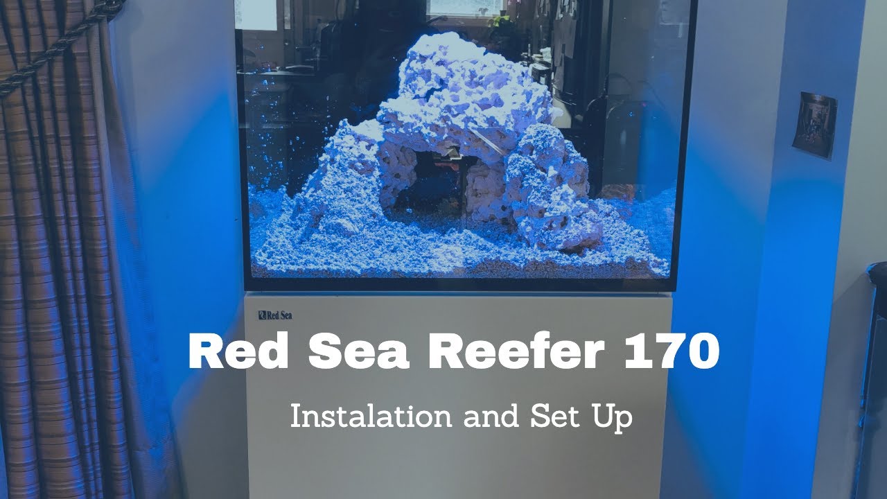【Red Sea REEFER 170 Chapter 1】New Aquarium Set Up