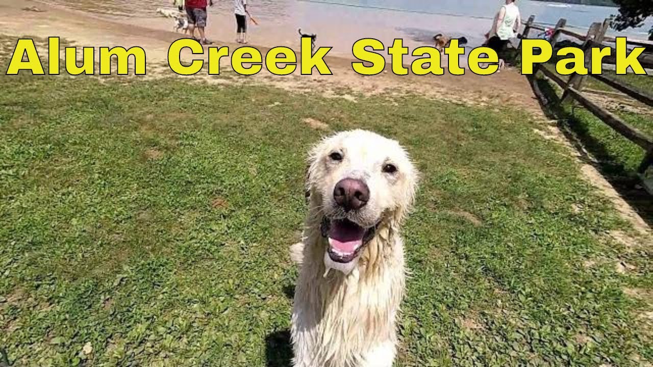 Alum Creek State Park Ohio Campground Has Went to The Dogs
