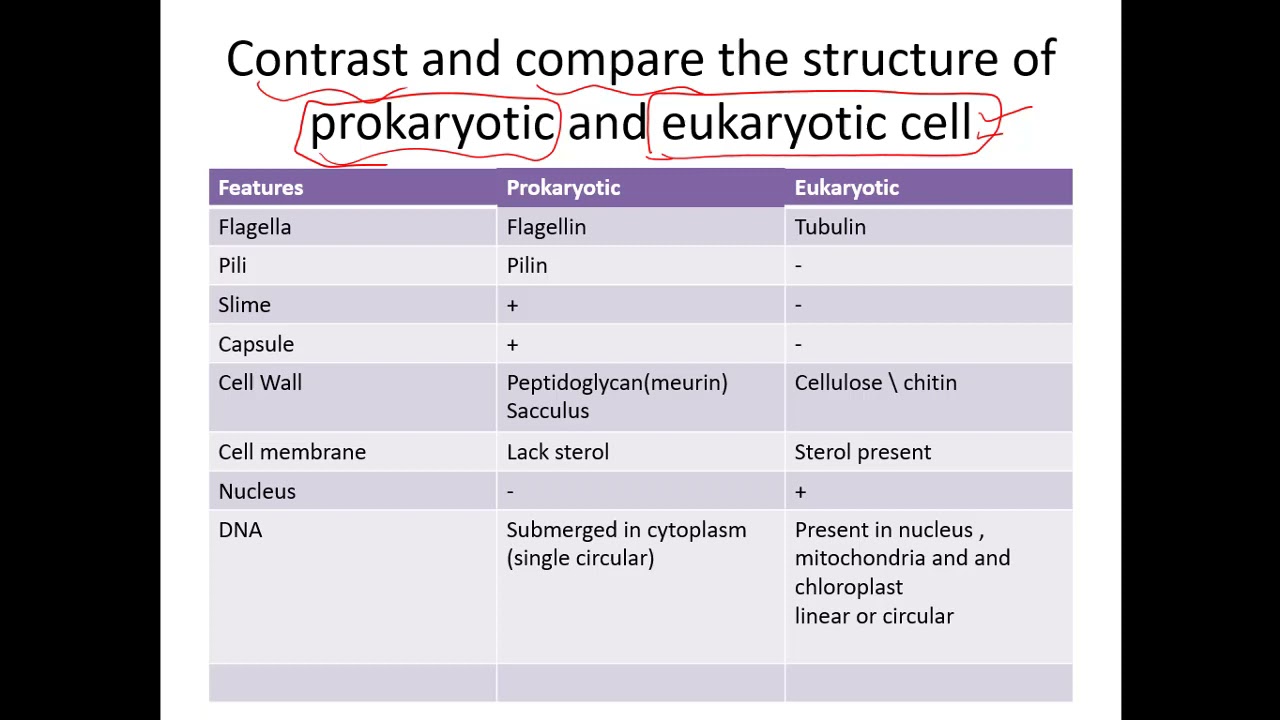 NMDCAT BIOLOGY LECTURE |CELL STRUCTURE |EUKARYOTES AND PROKARYOTES|M AHMAD NAZEER