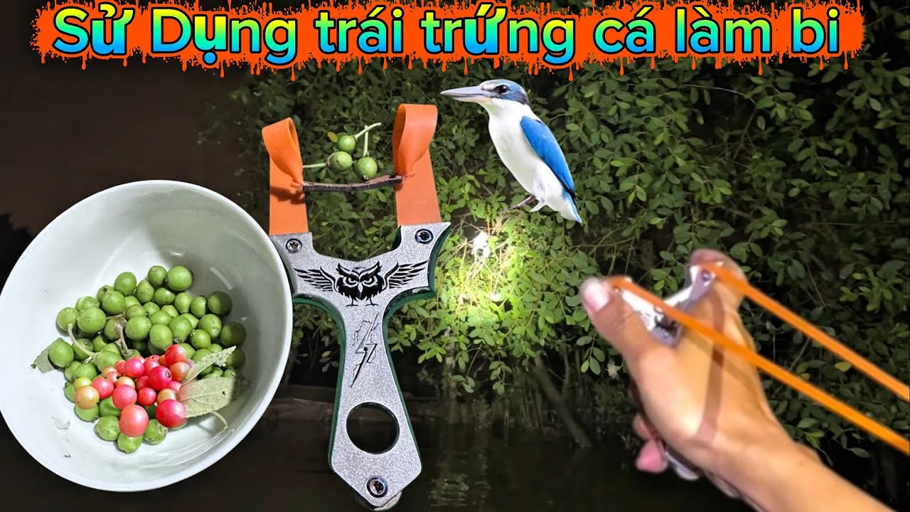 Sử dung trái trứng cá đi săn chim bối cá độc lạ nhất Việt Nam.