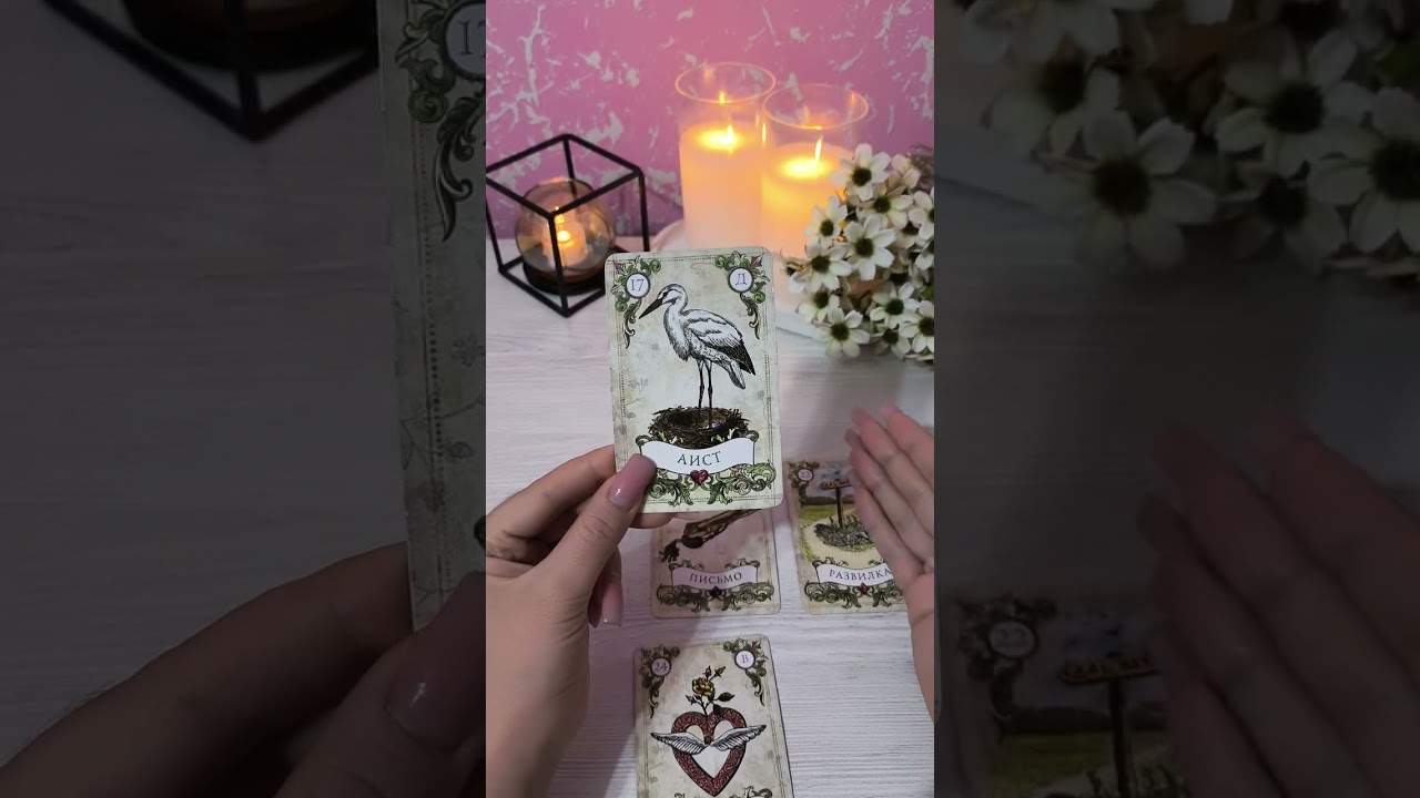 QO'Y♈ ARSLON♌ O'QOTAR♐ 2026 YILDA NIMALAR KUTMOQDA⁉️ #tarot 