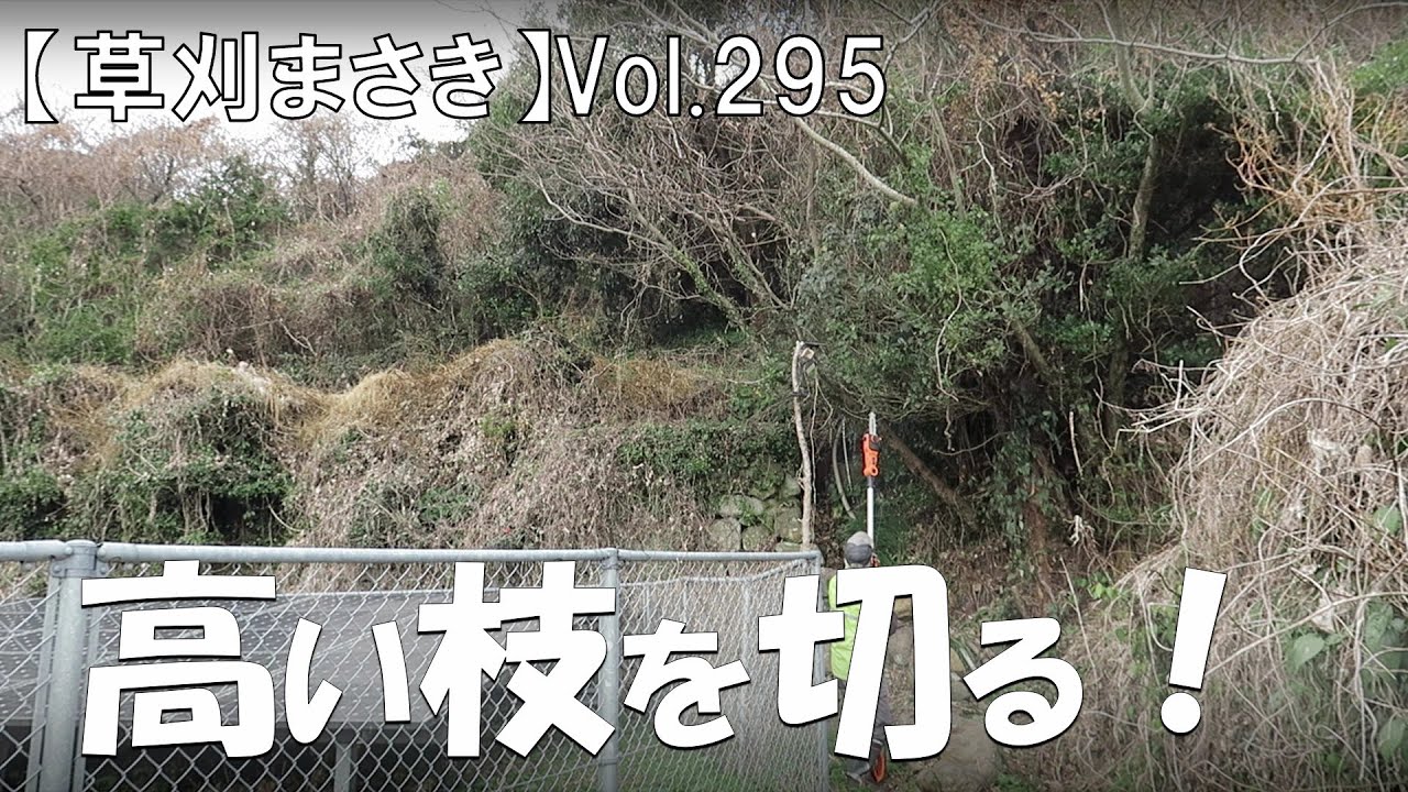 【伐採】高い枝を切る！