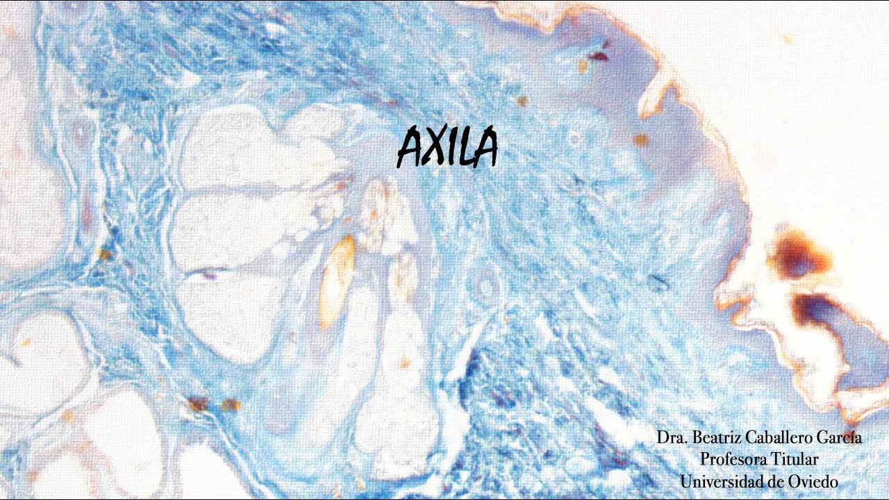 Axila (Tricrómico)