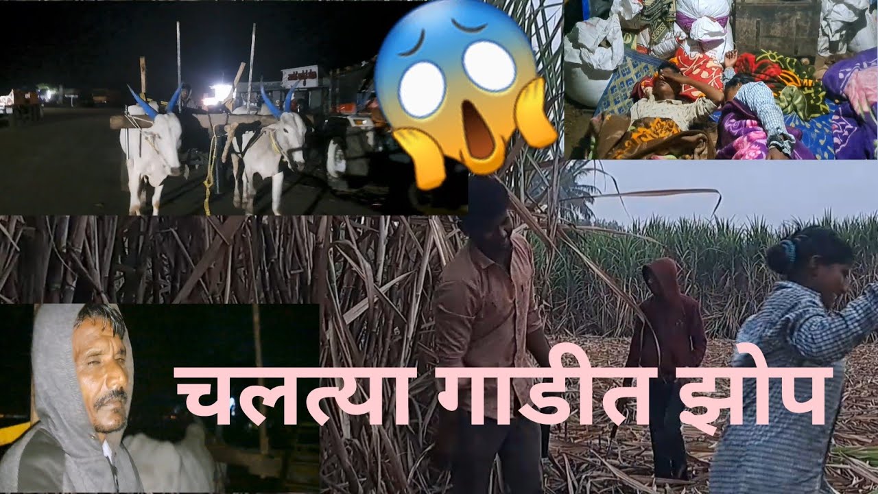 आधाराच नाहि आमाला भेव कवा पन ऊठून जातो रानात 😔😔#vlog #manishahajare