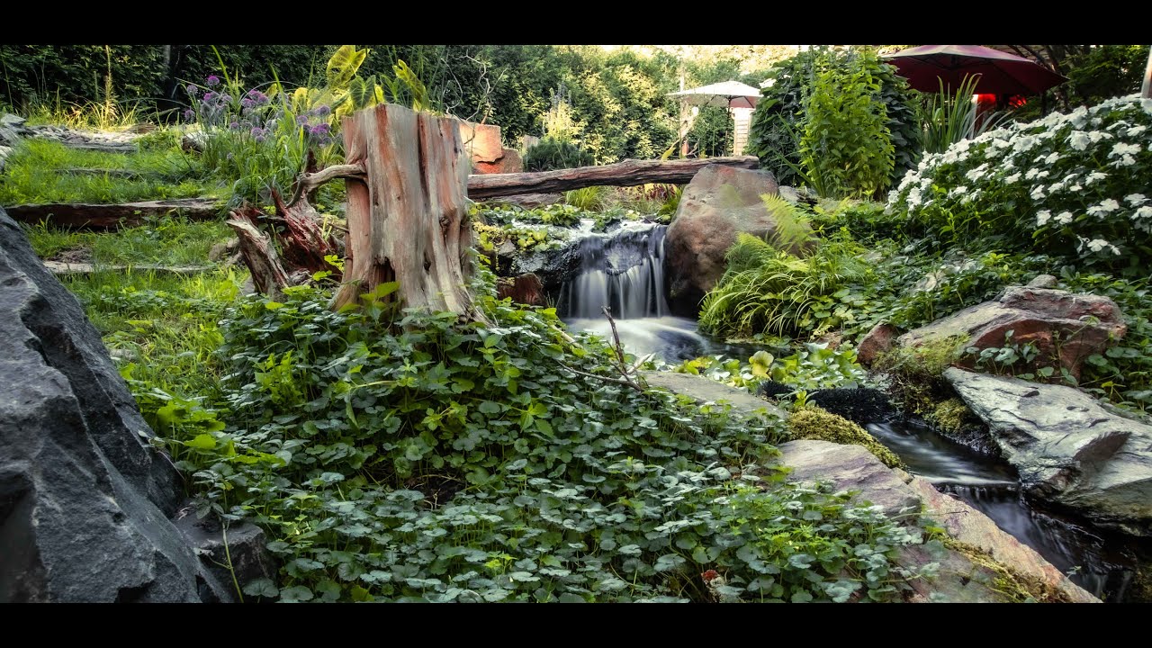 Took 6 years, part time to create our aquatic Paradise.