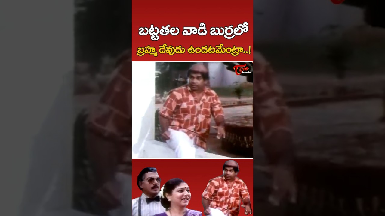 Brahmanandam Baldhead Comedy#MuddulaMogudu #Shorts #YTShorts #ComedyShorts #TeluguOne