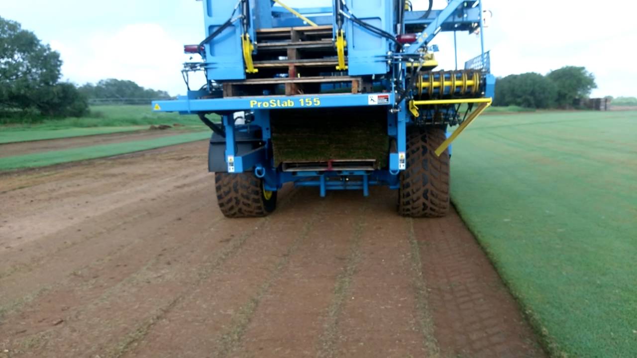 Harvesting TifTuf Bermuda grass with the ProSlab 155 FireFly