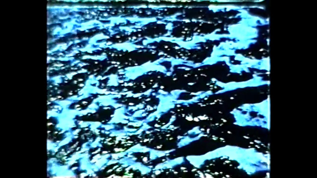 Stan Brakhage - A Child's Garden and the Serious Sea (1991)