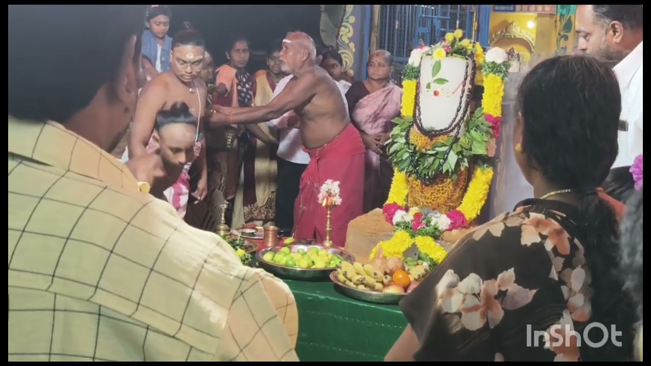 மயிலாடுதுறை மாவட்டம்63 பேட்டை மகா சிவராத்திரியை முன்னிட்டு சிவன் ஆலயத்தில் சிறப்பு அபிஷேக ஆராதனை