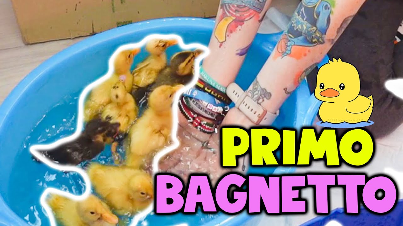 PRIMO BAGNETTO DELLE PAPERE!! 🦆 😍 *dolcissimo*