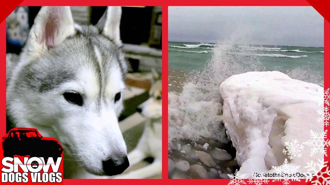 THE LAKE IS ANGRY | Wrestling Huskies