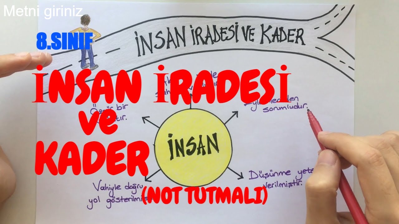 İnsan İradesi ve Kader | 8. Sınıf Din Kültürü