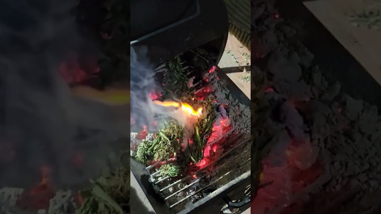 BOOF(Strawberry Kush)- What I Do With BOOF💯🚫🧢