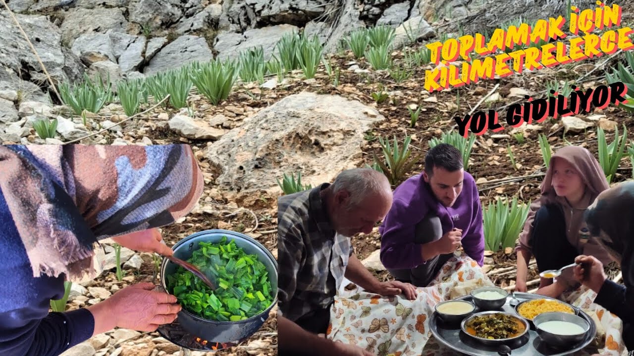 MEVSİMİ GELDİİ ENFES YUMURTALI GULİK (ÇİRİŞ) OTU YEMEĞİ ZAMANI