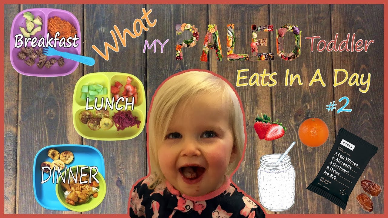 What My PALEO Toddler Eats In A Day #2