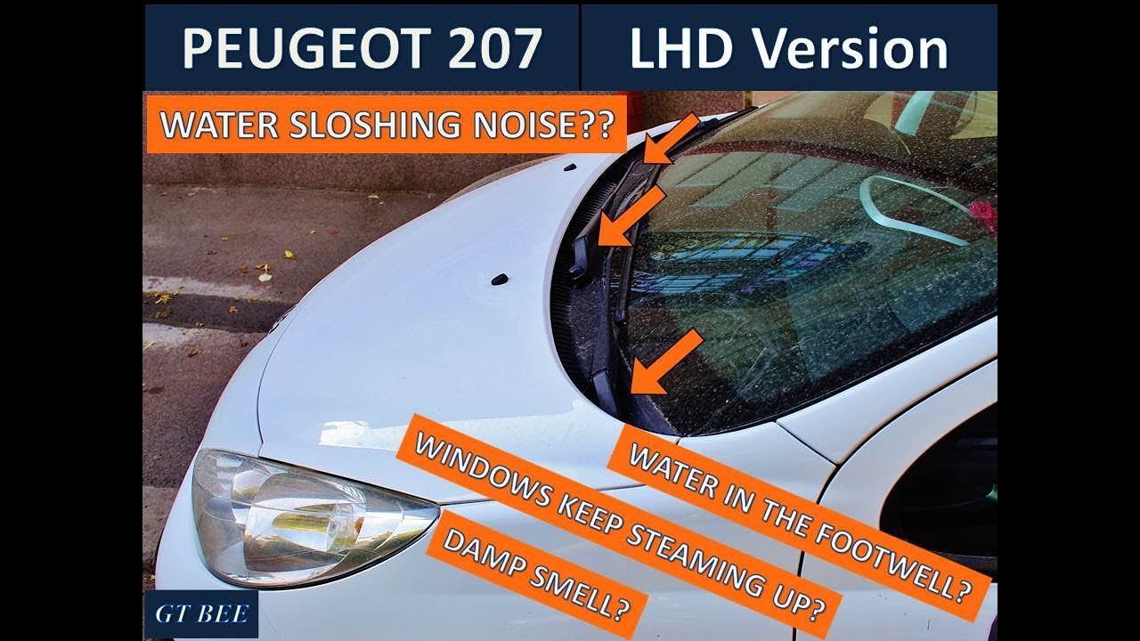 Peugeot 207 (LHD) Water Sloshing Noise FIX!!