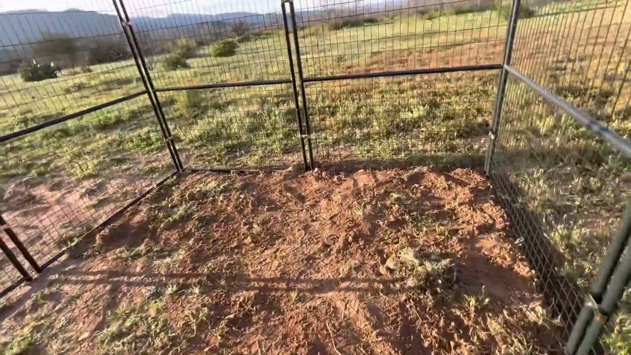 Producer&rsquo;s Pride Defender Chicken Coop