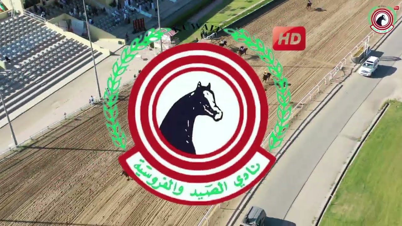 الاجتماع (19) الشوط (3) الجواد / سلاطين / اسطبل / الفيصل