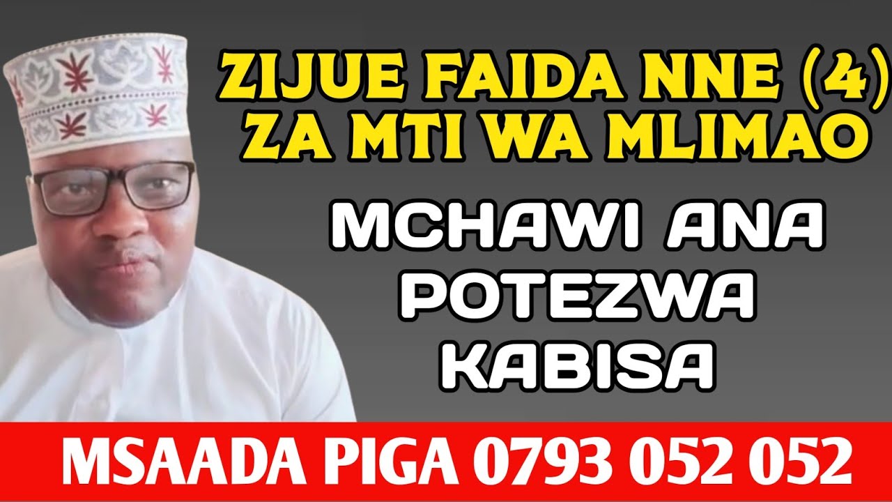 ZIJUE FAIDA NNE ( 4)  ZA MTI WA MLIMAO AMBAZO MCHAWI ATATESEKA KABISA.